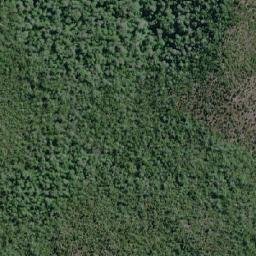 Satellite imagery of Punta Nalcas, CL