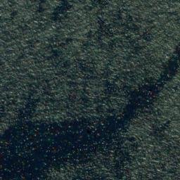 Satellite imagery of Roger Head, NZ