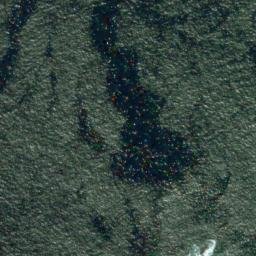 Satellite imagery of Roger Head, NZ