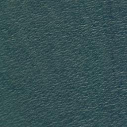 Satellite imagery of Garden Point, NZ