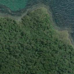Satellite imagery of Garden Point, NZ