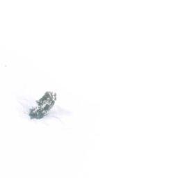 Satellite imagery of Cerro La Torre, CL