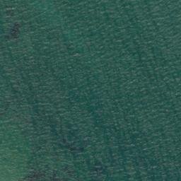 Satellite imagery of Gull Rock, NZ