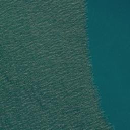 Satellite imagery of Gull Rock Point, NZ