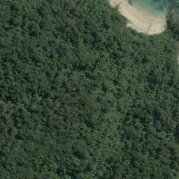 Satellite imagery of Gull Rock, NZ
