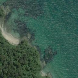Satellite imagery of Gull Rock, NZ