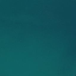 Satellite imagery of Gull Rock Point, NZ