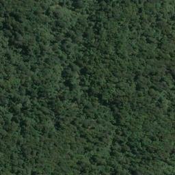 Satellite imagery of Gull Rock, NZ