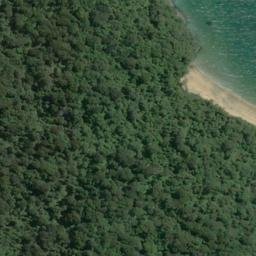 Satellite imagery of Gull Rock, NZ