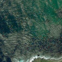 Satellite imagery of Richards Point, NZ