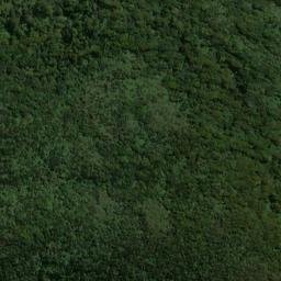 Satellite imagery of Richards Point, NZ
