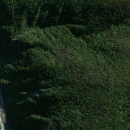 Satellite imagery of Richards Point, NZ