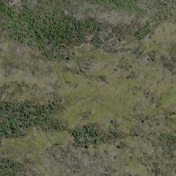 Satellite imagery of Cerro Forelius, CL