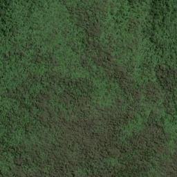 Satellite imagery of Thomson Ridge, NZ