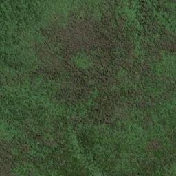 Satellite imagery of Thomson Ridge, NZ