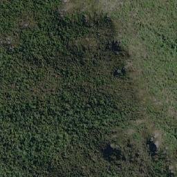 Satellite imagery of Cerro Forelius, CL