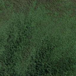 Satellite imagery of Thomson Ridge, NZ