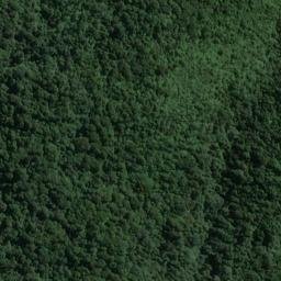 Satellite imagery of Thomson Ridge, NZ