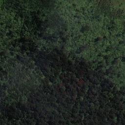 Satellite imagery of Mamaku Point, NZ