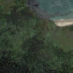 Satellite imagery of Mamaku Point, NZ