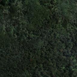 Satellite imagery of Bragg Point, NZ