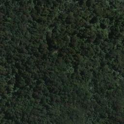 Satellite imagery of Louis Point, NZ