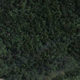 Satellite imagery of Wast Point, NZ