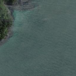 Satellite imagery of Fisherman Point, NZ