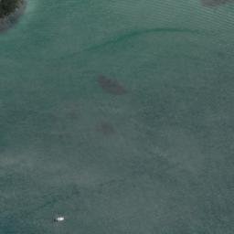 Satellite imagery of Wast Point, NZ