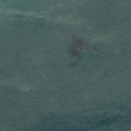 Satellite imagery of Fisherman Point, NZ