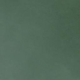 Satellite imagery of North Arm Point, NZ