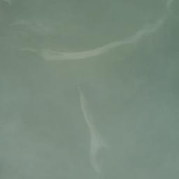 Satellite imagery of North Arm Point, NZ