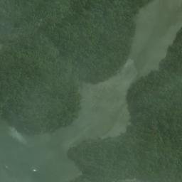 Satellite imagery of Allans Point, NZ
