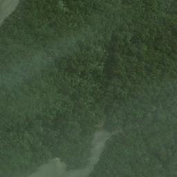 Satellite imagery of Allans Point, NZ