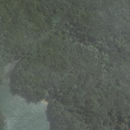 Satellite imagery of Cow and Calf Point, NZ