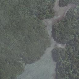 Satellite imagery of Cow and Calf Point, NZ