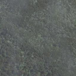 Satellite imagery of Cow and Calf Point, NZ