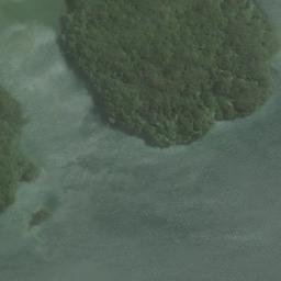 Satellite imagery of Kaipipi Point, NZ