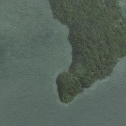 Satellite imagery of Kaipipi Point, NZ