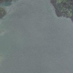 Satellite imagery of Cow and Calf Point, NZ