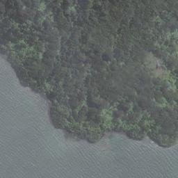 Satellite imagery of Cow and Calf Point, NZ