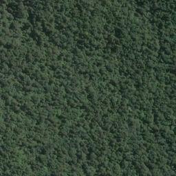 Satellite imagery of Ogles Point, NZ