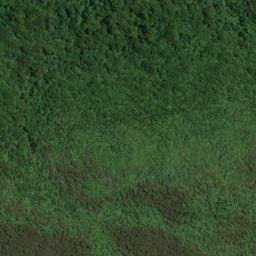 Satellite imagery of WALKERS HILL, NZ