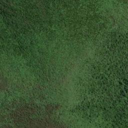 Satellite imagery of WALKERS HILL, NZ