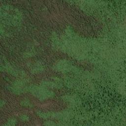 Satellite imagery of WALKERS HILL, NZ