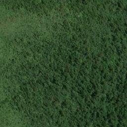 Satellite imagery of WALKERS HILL, NZ