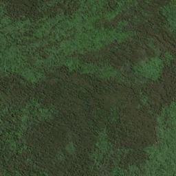 Satellite imagery of WALKERS HILL, NZ