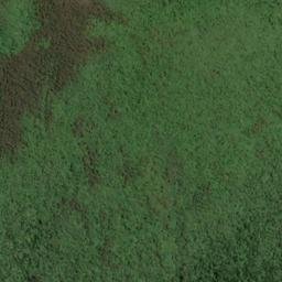Satellite imagery of WALKERS HILL, NZ