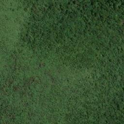 Satellite imagery of WALKERS HILL, NZ