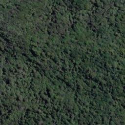 Satellite imagery of Steep Head, NZ